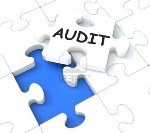 Audit laws - SERAP