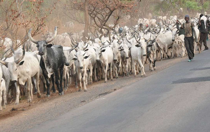 Fulani herdsmen - Megacorp Nigeria