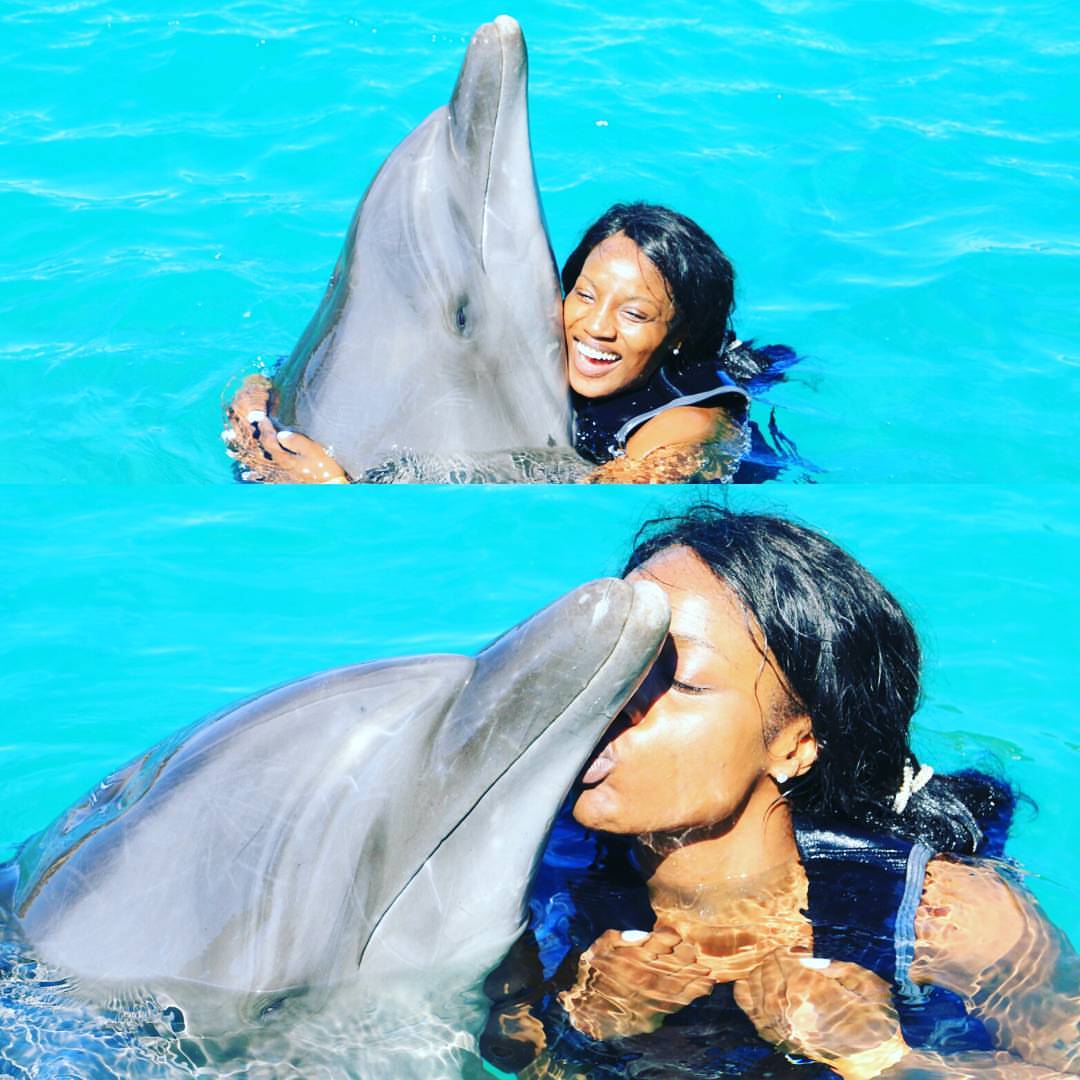 Seyi Shay and the dolphin