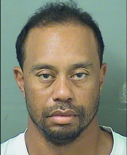 Medication Not Alcohol Responsible For Dui Tiger Woods