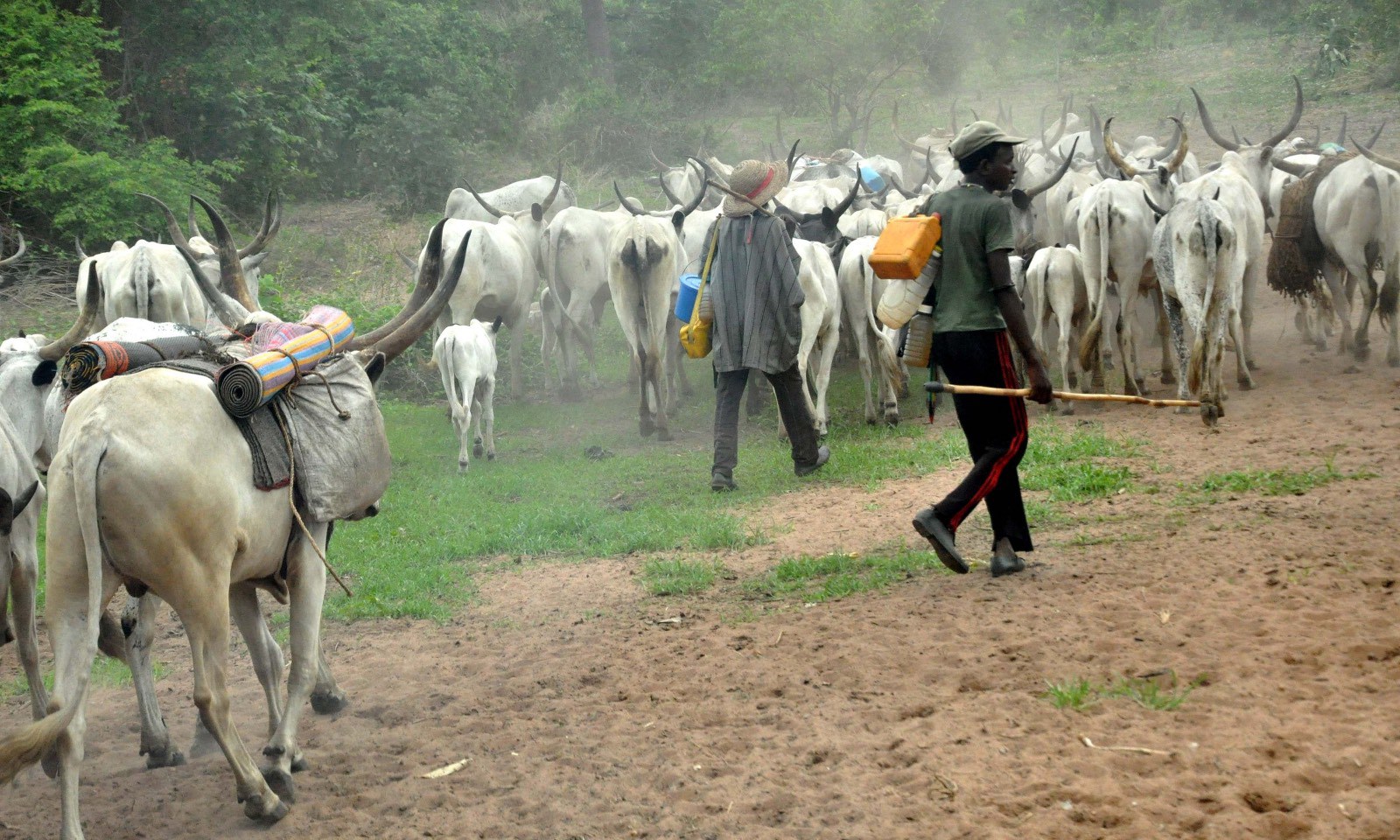 Fulani Herdsmen at the trent fotor