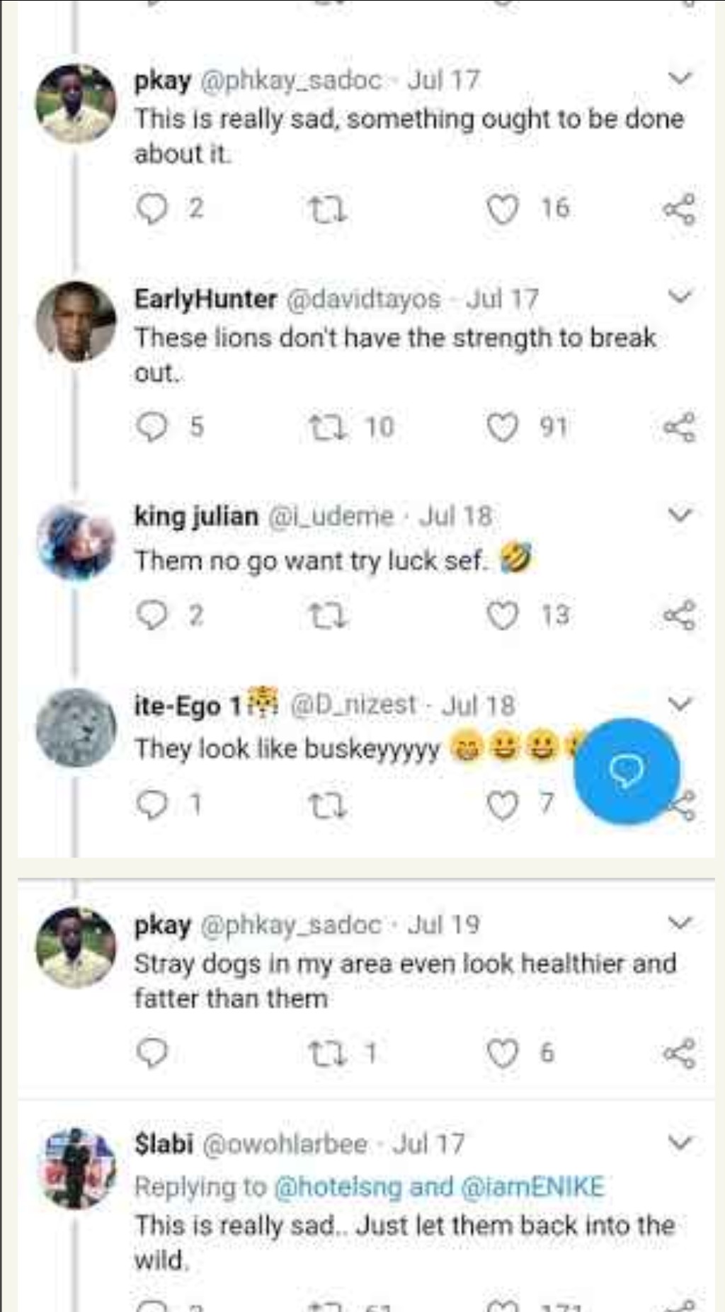 Nigerian zoo 