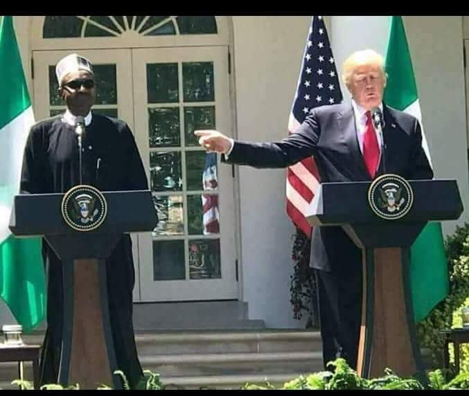 Buhari and Trump