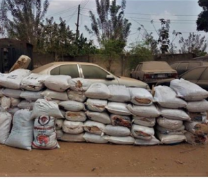 NDLEA intercept 73 bags of cannabis in Oshogbo