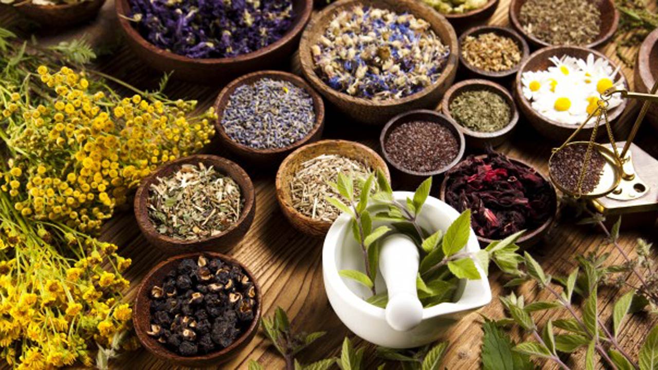 Herbal-Medicine-