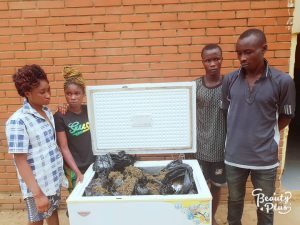 “Major distributors” caught with Indian hemp-filled Freezer in Ogun