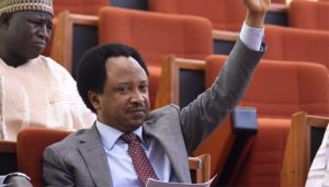 Steer clear of elections to save the reputation of Academia – Shehu Sani urges professors