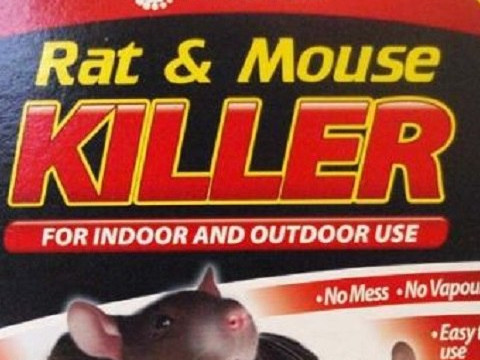 rat killer
