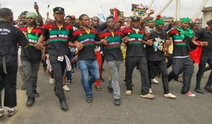Sit-at-home order: DSS issues stern warning to IPOB