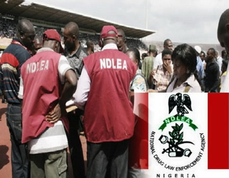 NDLEA seizes 200Kg illicit substances in Yola within a week– Commander