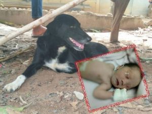 Dog rescues newborn baby dumped in pile of dirt