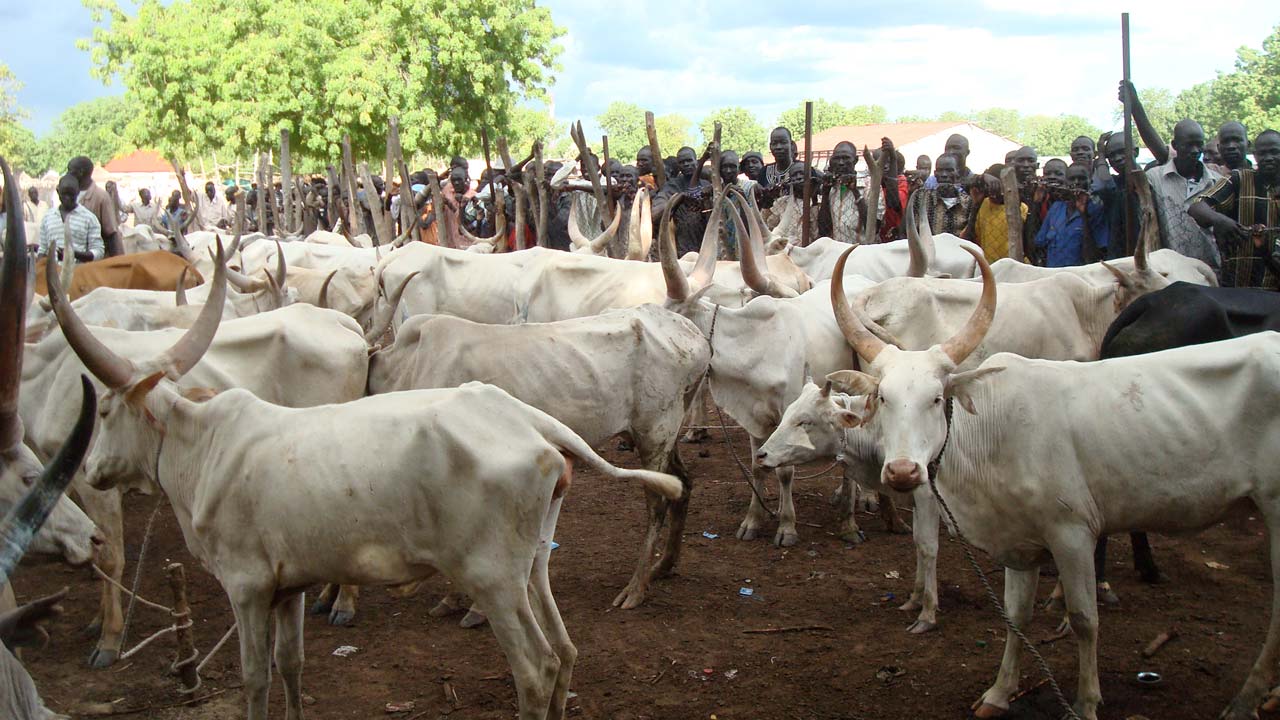 National Livestock Transformation Plan