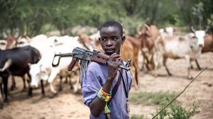 Herdsmen: FG buys radio license to “reach the very hard-to-reach” nomadic farmers