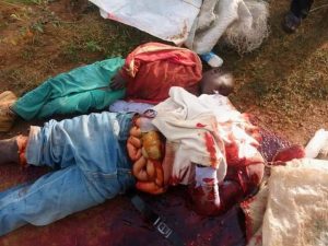 Suspected herdsmen behead father, son, slaughter pregnant woman in Plateau (graphic photos)