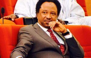 You have been reduced from a dwarf to a leper – Shehu Sani drags El-Rufai