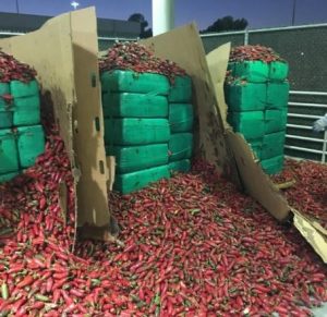 Smugglers conceal $2.3 million worth of marijuana inside pepper (photo)