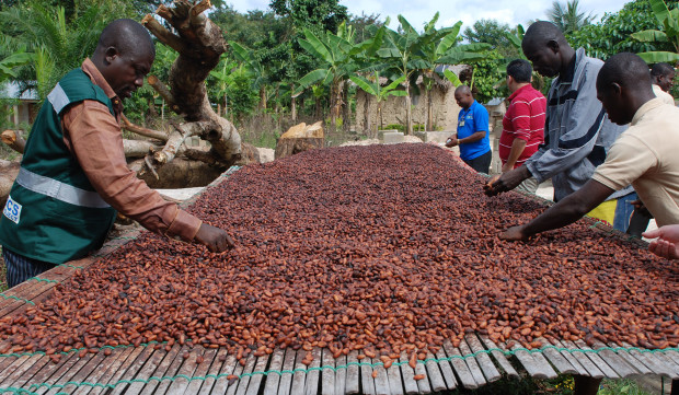 ghana-set-for-850000-tonnes-of-cocoa-production
