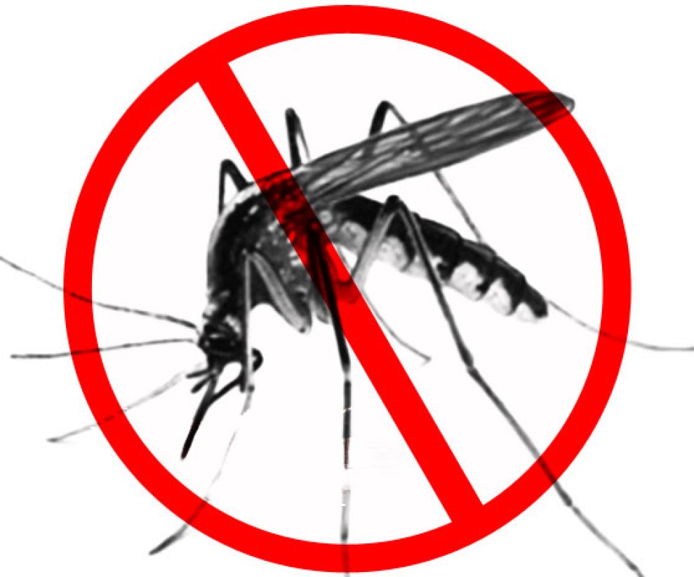 Почему для борьбы с малярией. Комары профилактика. Профилактика малярии. Всемирный день борьбы против малярии. Борьба с малярийными комарами.