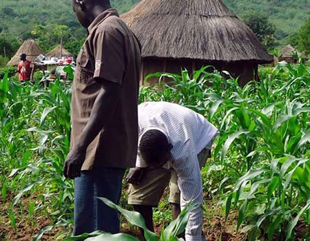 Farmers support - NEPAD