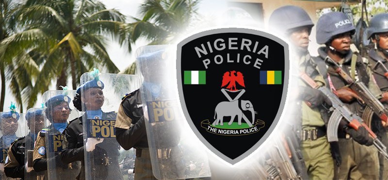 police arrest housewife for pushing co-wife and son into a well