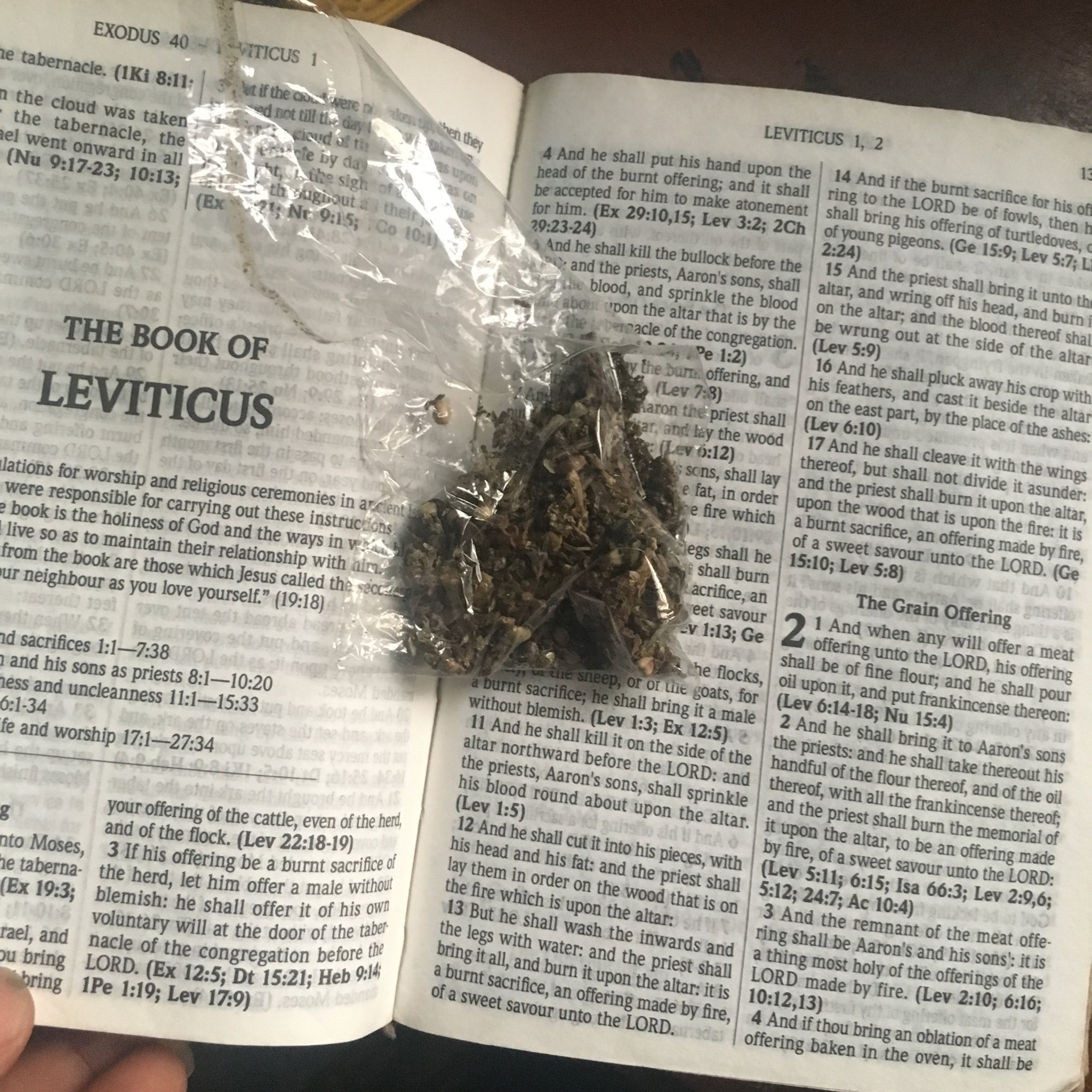 Woman Smokes Weed with Bible Sheet that talks about Women's Submission