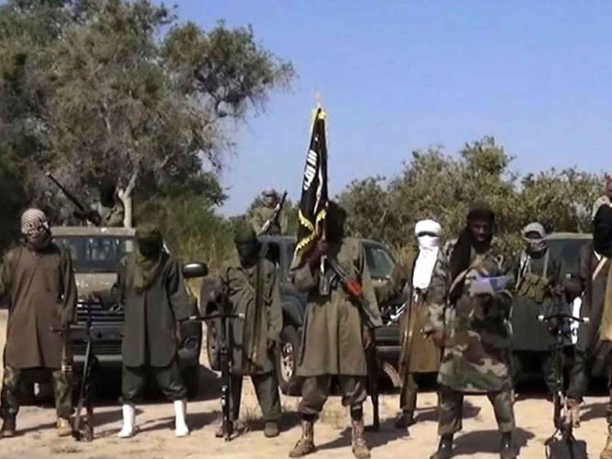 Repentant Boko Haram Should Be Jailed, Not Rewarded -Rep