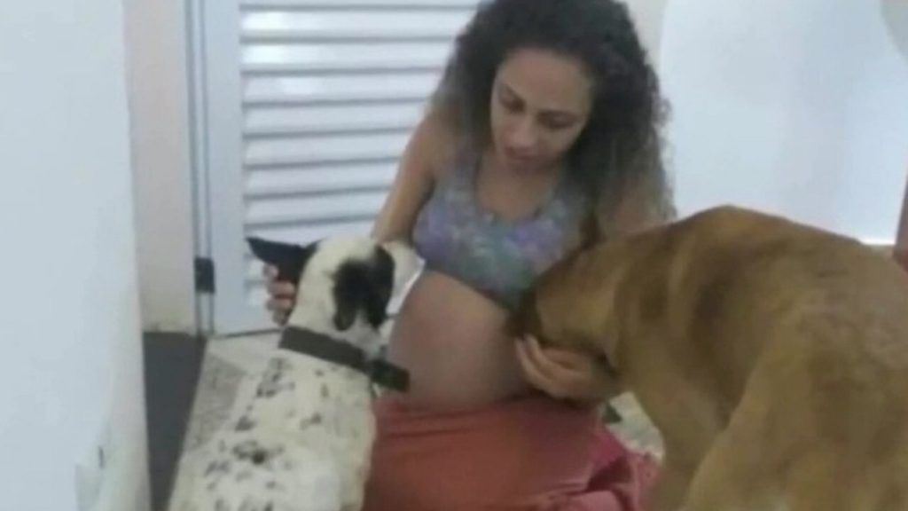 Mother, Twin babies and dogs