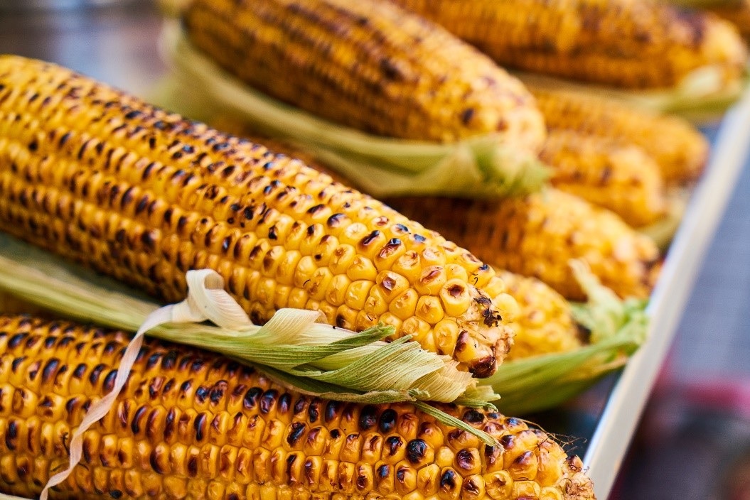 Things we should know about corn