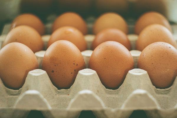 Benefits off eggs