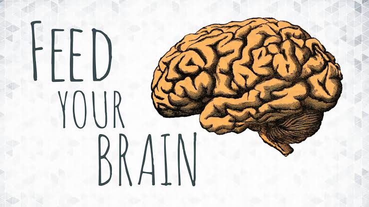Daily Devotion: Feed your brain