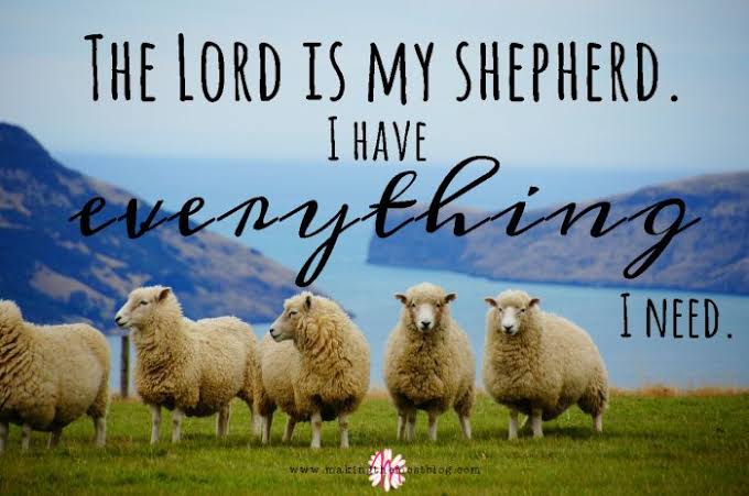 Daily Devotion: Is He your Shepherd?