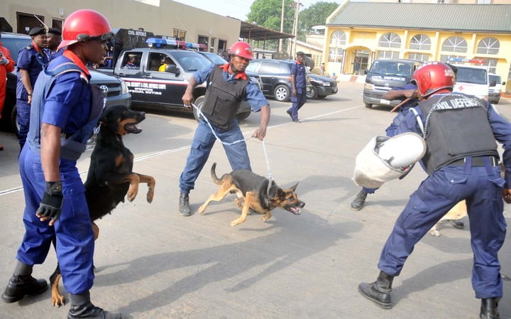 Six Suspected Rail Line Vandals Paraded by NSCDC in Benue