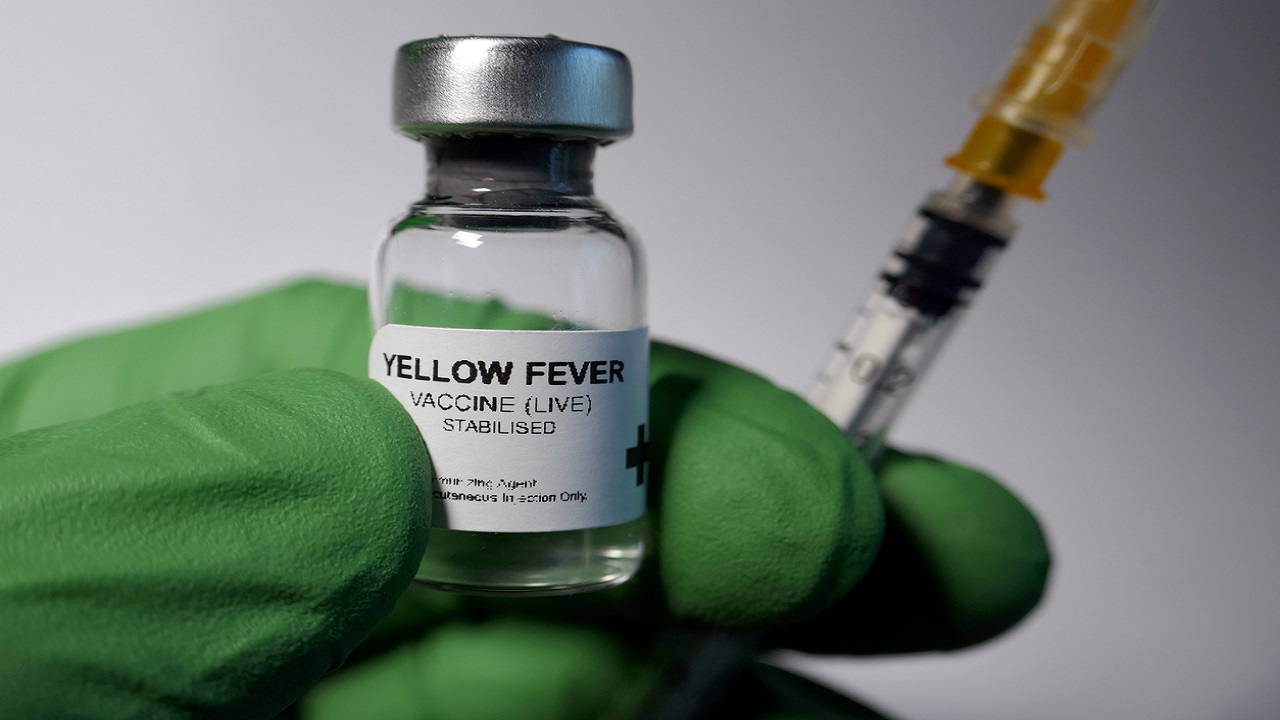 Yellow fever: Anambra