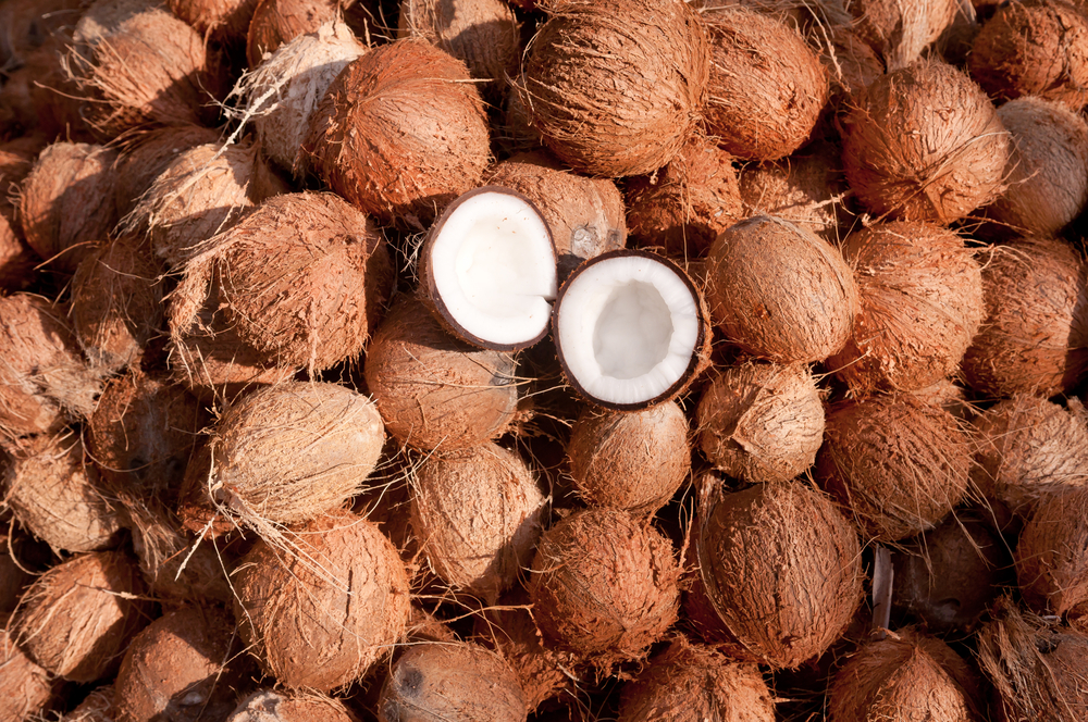5 Impressive Benefits of Coconuts on Human Health