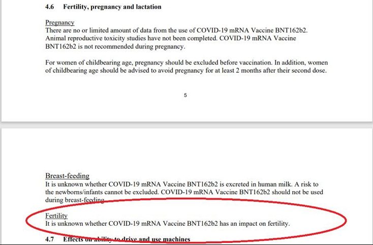 Pfizer's COVID-19 vaccine fertility