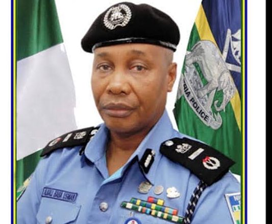 Acting IGP - Northern governors