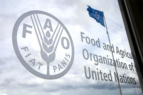 FAO - UN food agency