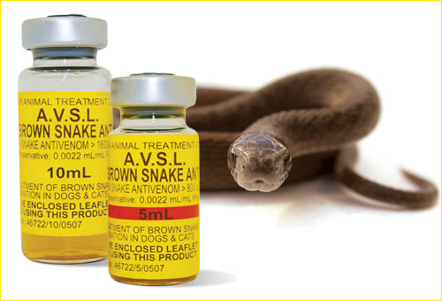 Anti-snakebite venom