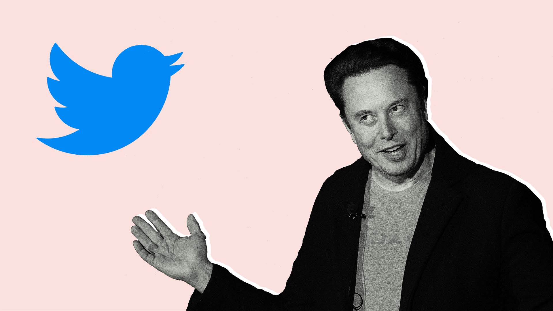 Elon Musk - Twitter - Cisgender