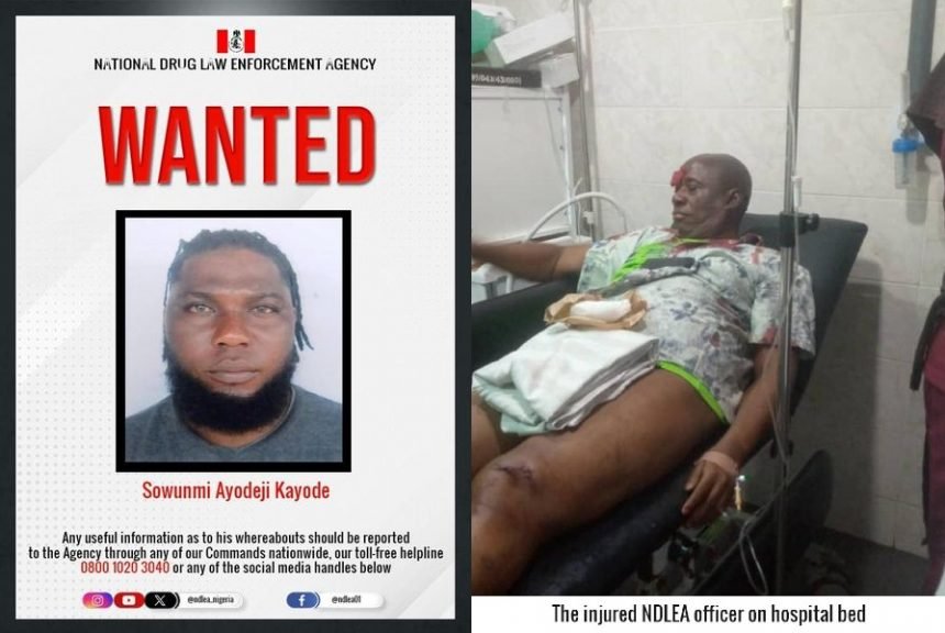 Sowunmi Ayodeji Kayode - notorios drug dealer on the run