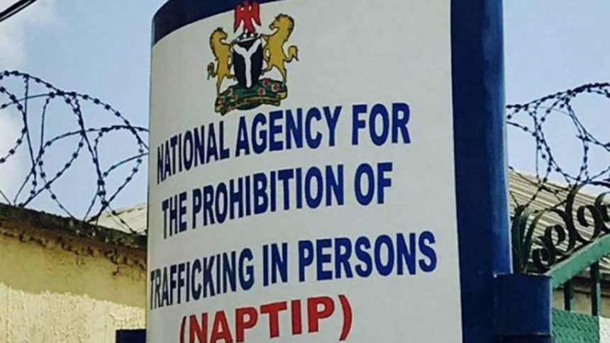 NAPTIP - Libya - illegal immigrants