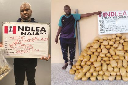 NDLEA - Sherif Egbo Ally - drug trafficking