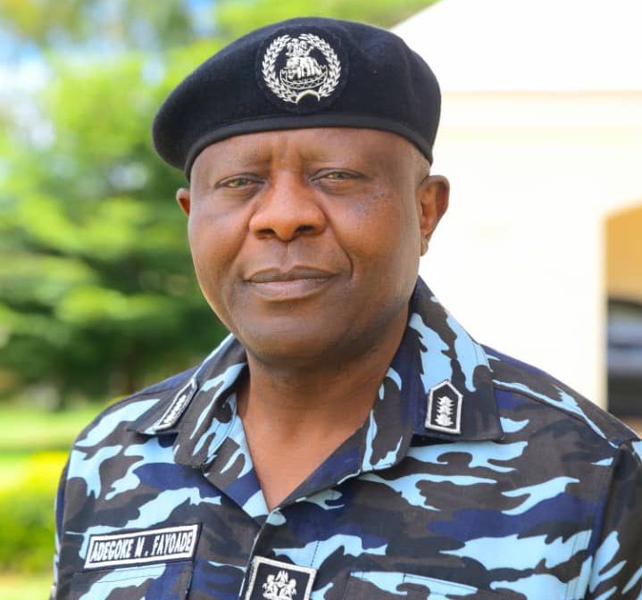 CP Adegoke Fayoade.,Lagos police commissioner - phone snatching