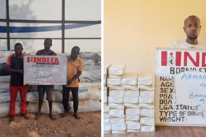 NDLEA - insurgents - drugs suppliers
